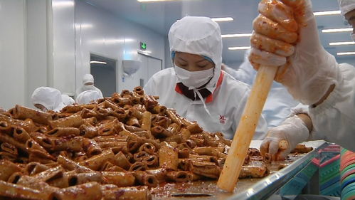 揭秘零食工廠 走進良品鋪子荊州生產基地，見證美味誕生之旅