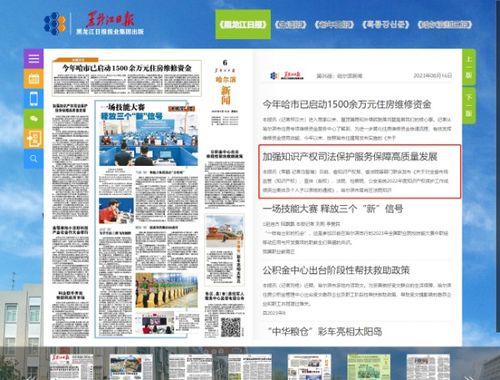 黑龍江日報 加強知識產(chǎn)權(quán)司法保護 服務(wù)保障高質(zhì)量發(fā)展