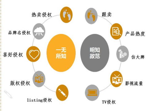 跨境電商產(chǎn)品侵權(quán)與知識產(chǎn)權(quán)挑戰(zhàn)及應(yīng)對策略
